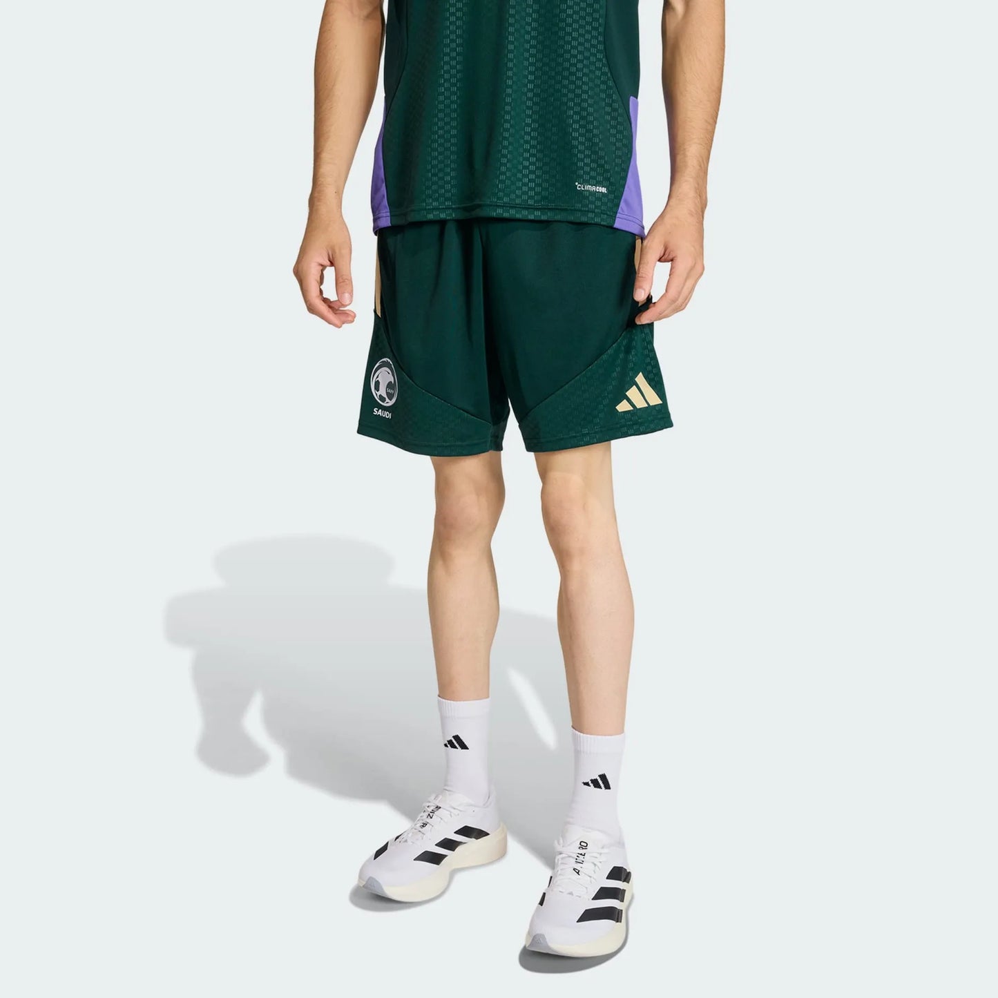 Saudi Arabia Training Shorts 2026 - Fan - back view