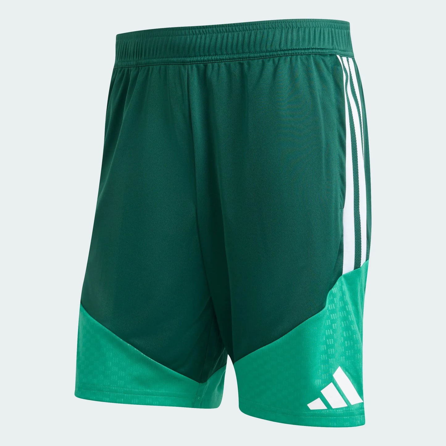 Algeria Training Shorts 2026 - Fan