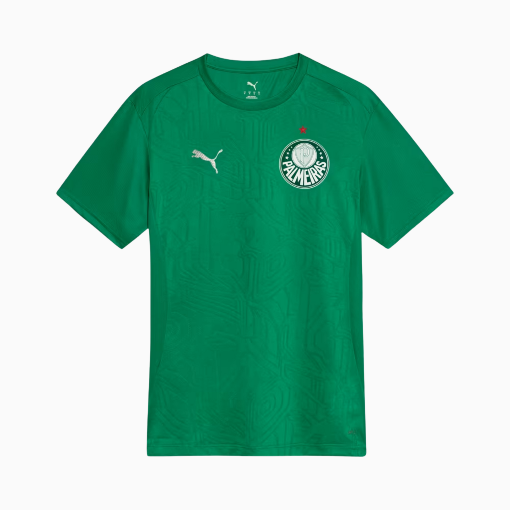 Jersey Palmeiras 2025/26 Training