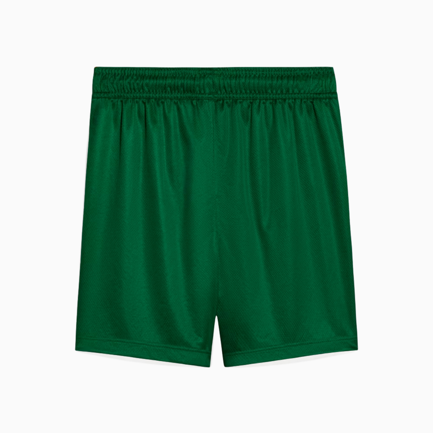 Palmeiras II Shorts 2025/26 - Fan - back view