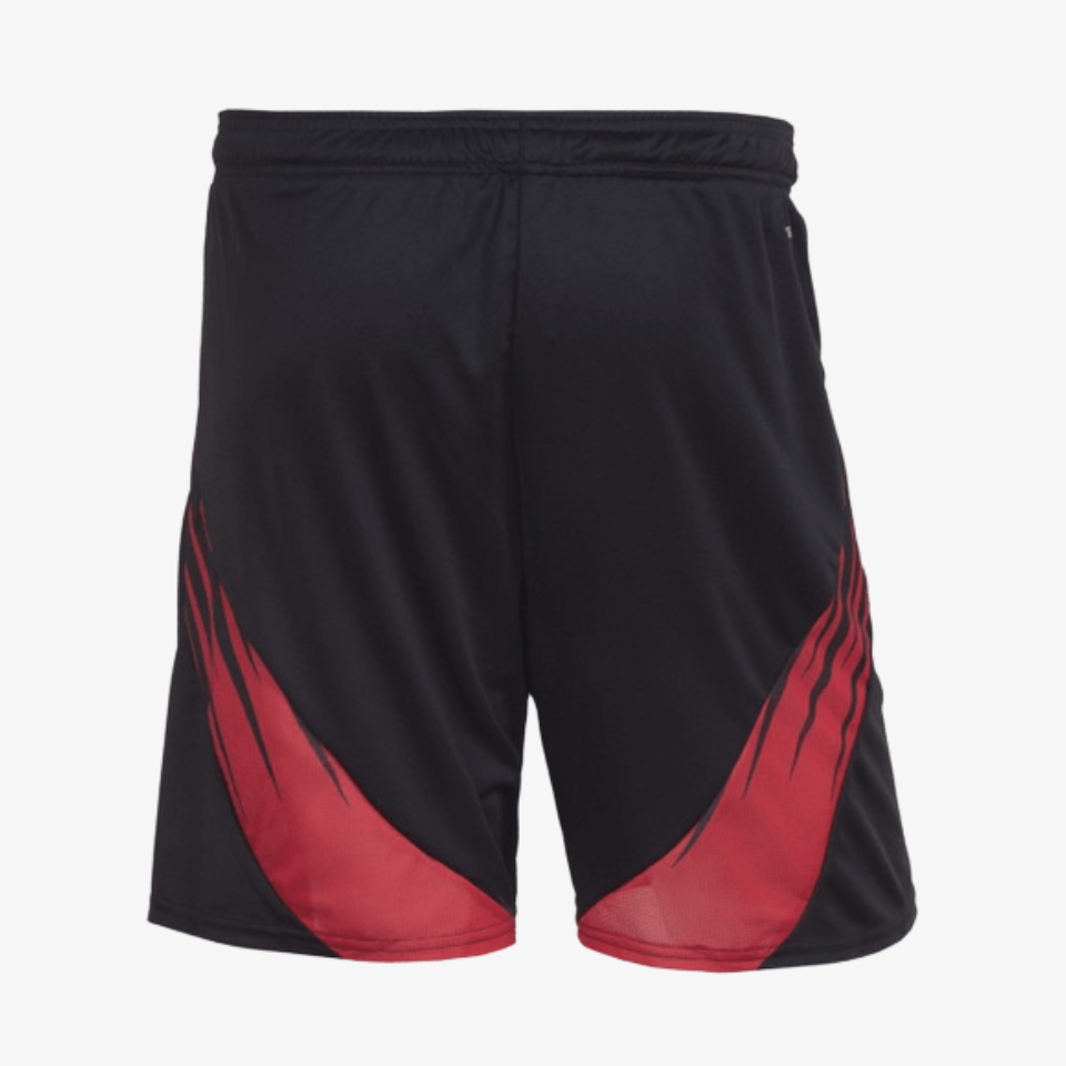 Flamengo II Shorts 2025/26 - Fan - back view
