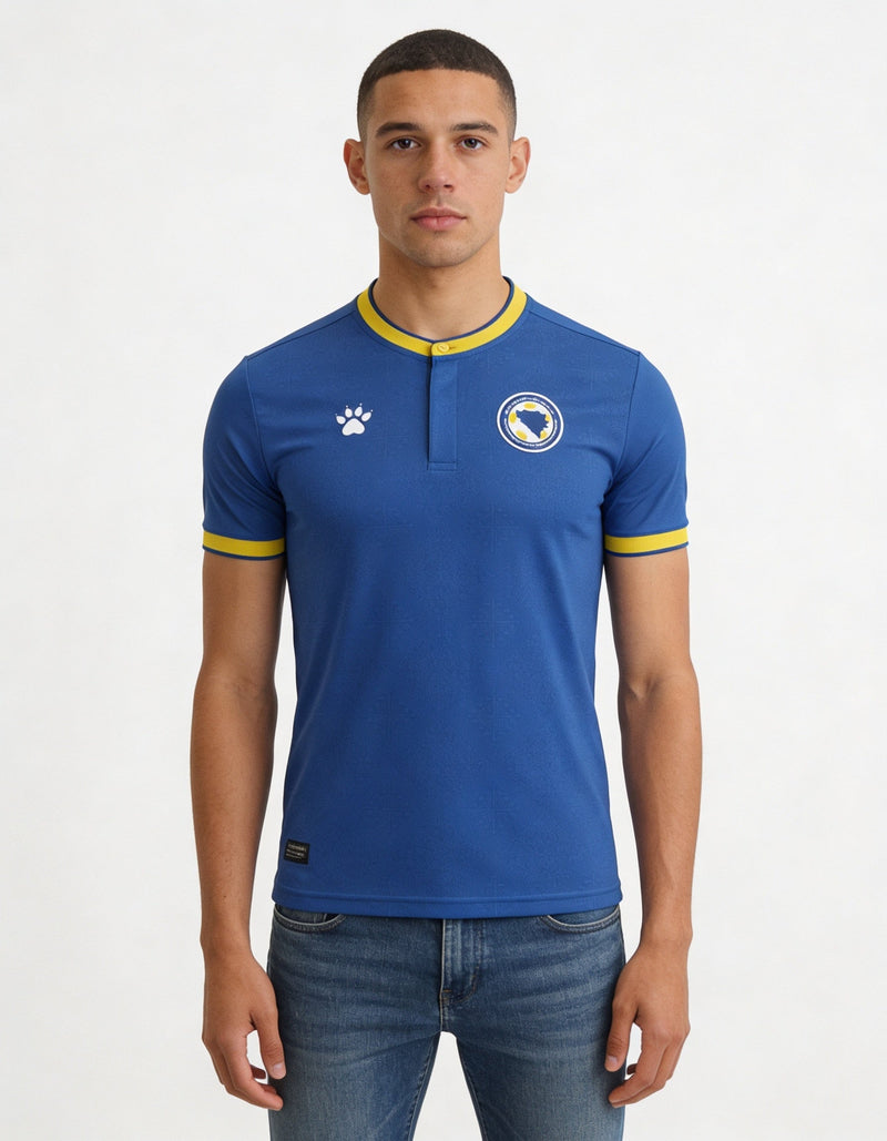 Bosnia and Herzegovina 2026 Concept Home - Fan Version